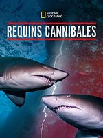 poster de Requins cannibales
