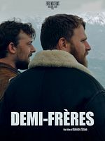 poster de Demi-Frères