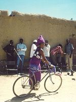 poster de La Vie sur terre