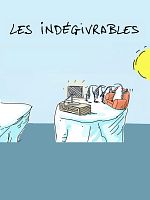 image de Les Indégivrables