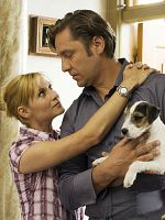 poster de L'Amour en héritage (TV)