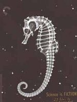 poster de Les Pigeons du square