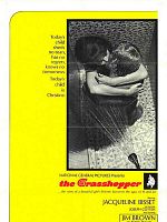 poster de The Grasshopper