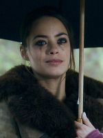 poster de Le Courrier du parc