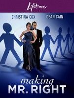 poster de À la recherche de Mr Parfait