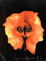 poster de Manhattan Midnight