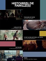 poster de Histoire(s) de Famille(s)