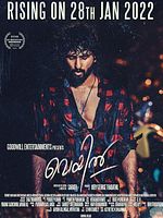 poster de Veyil