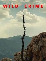 poster de Wild Crime