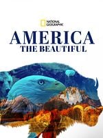 poster de America the Beautiful