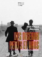 poster de Des oiseaux petits et gros