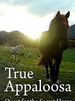 poster de Le Véritable Appaloosa