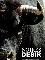poster de Noires Désir