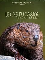 poster de Le Cas du castor