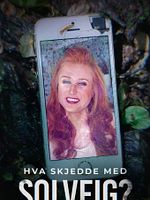 poster de What happened to Solveig ?
