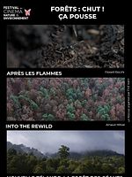 poster de Forêts : Chut ! Ça pousse