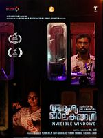 poster de Invisible Windows