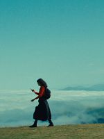 poster de Adieu tortue