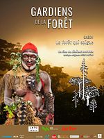 poster de Gabon, la forêt qui soigne
