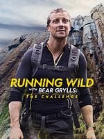 poster de En pleine nature avec Bear Grylls : le challenge