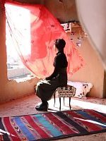 poster de Racines dans le vent