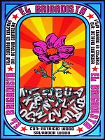 poster de El Brigadista