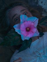 Affiche de Nervures, film à voir en streaming sur Pygargue