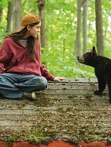 poster du film Melody pour un ours