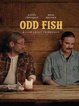 Affiche de Ljósvíkingar, film à voir en streaming sur Pygargue