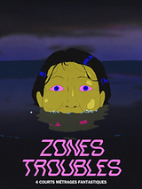 poster du film Zones Troubles