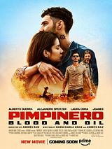 Affiche de Pimpinero, film à voir en streaming sur Pygargue