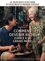 Affiche de Comment devenir riche (grâce à sa grand-mère), film à voir en streaming sur Pygargue