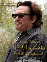 Affiche de Mr. Wonderful, film à voir en streaming sur Pygargue