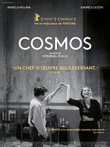 Affiche de Cosmos, film à voir en streaming sur Pygargue