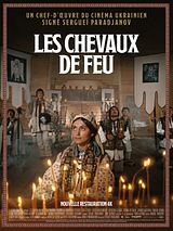 poster du film Les Chevaux de feu