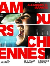 Affiche de Amours chiennes, film à voir en streaming sur Pygargue