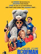 Affiche de Un voleur sur le toit, film à voir en streaming sur Pygargue