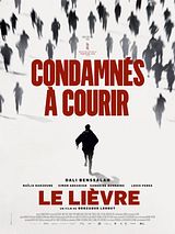 Affiche de Le Lièvre, film à voir en streaming sur Pygargue