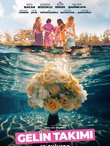 Affiche de Gelin Takımı, film à voir en streaming sur Pygargue