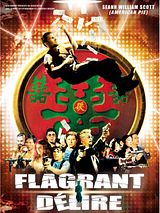 Affiche de Flagrant délire, film à voir en streaming sur Pygargue