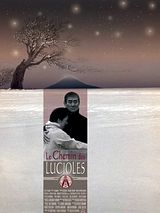Affiche de Le Chemin des lucioles, film à voir en streaming sur Pygargue