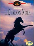Affiche de L'Etalon noir, film à voir en streaming sur Pygargue