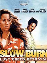 Affiche de Slow Burn, film à voir en streaming sur Pygargue