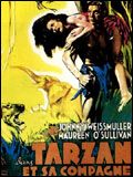 Affiche de Tarzan et sa compagne, film à voir en streaming sur Pygargue