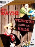 Affiche de Terreur dans la ville, film à voir en streaming sur Pygargue