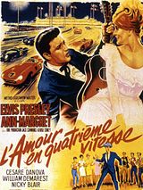 Affiche de L'Amour en quatrième vitesse, film à voir en streaming sur Pygargue