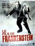 Affiche de Le Fils de Frankenstein, film à voir en streaming sur Pygargue