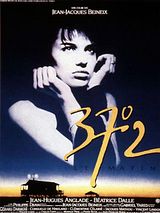 Affiche de 37°2 le matin, film à voir en streaming sur Pygargue