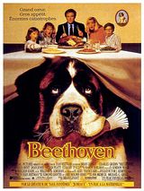 Affiche de Beethoven, film à voir en streaming sur Pygargue