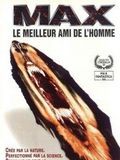 Affiche de Max, le meilleur ami de l'homme, film à voir en streaming sur Pygargue